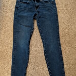 American Eagle Outfitters Navy Skinny Jeans